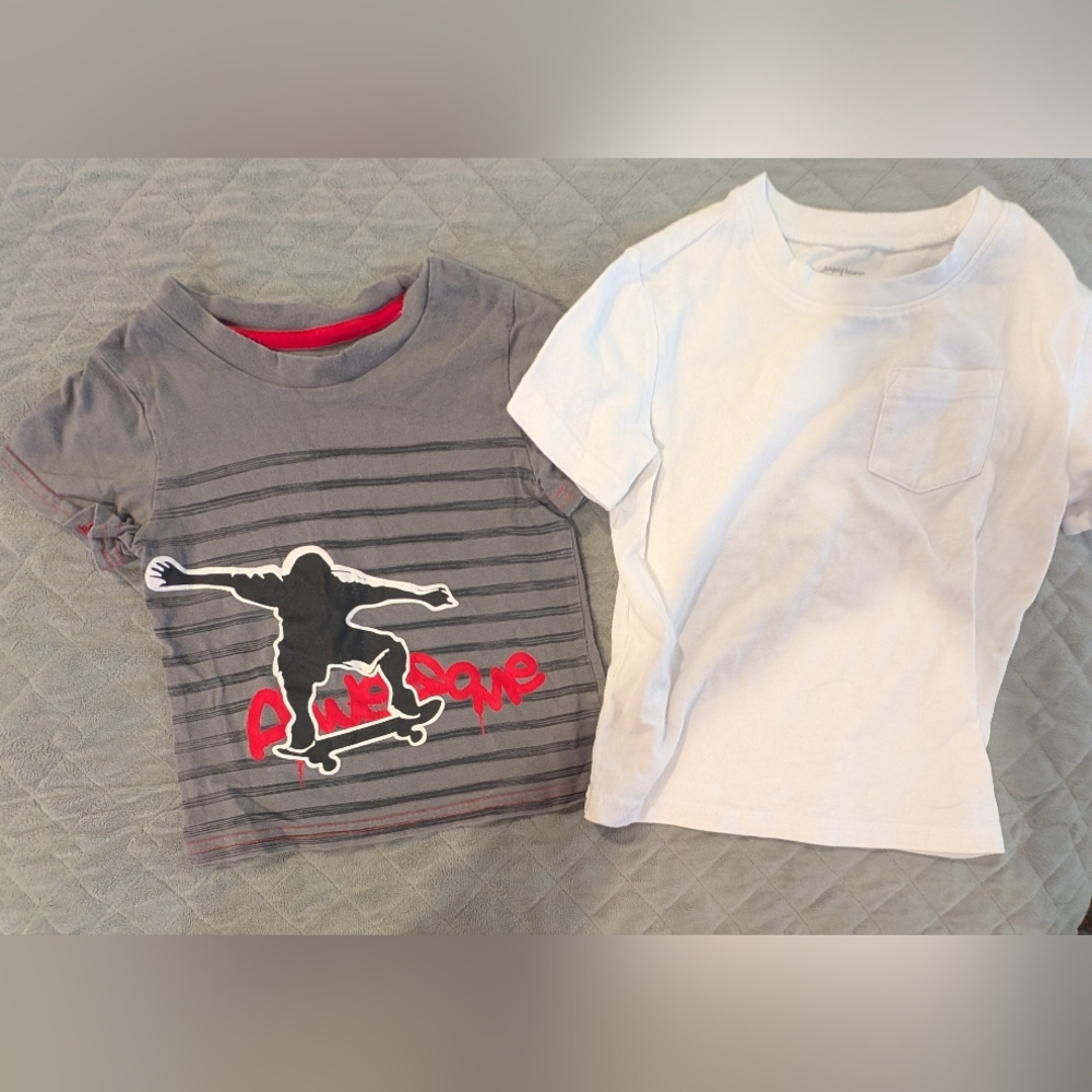 Healthtex 3T Skateboarding Gray and Solid White Kids T-Shirt Set